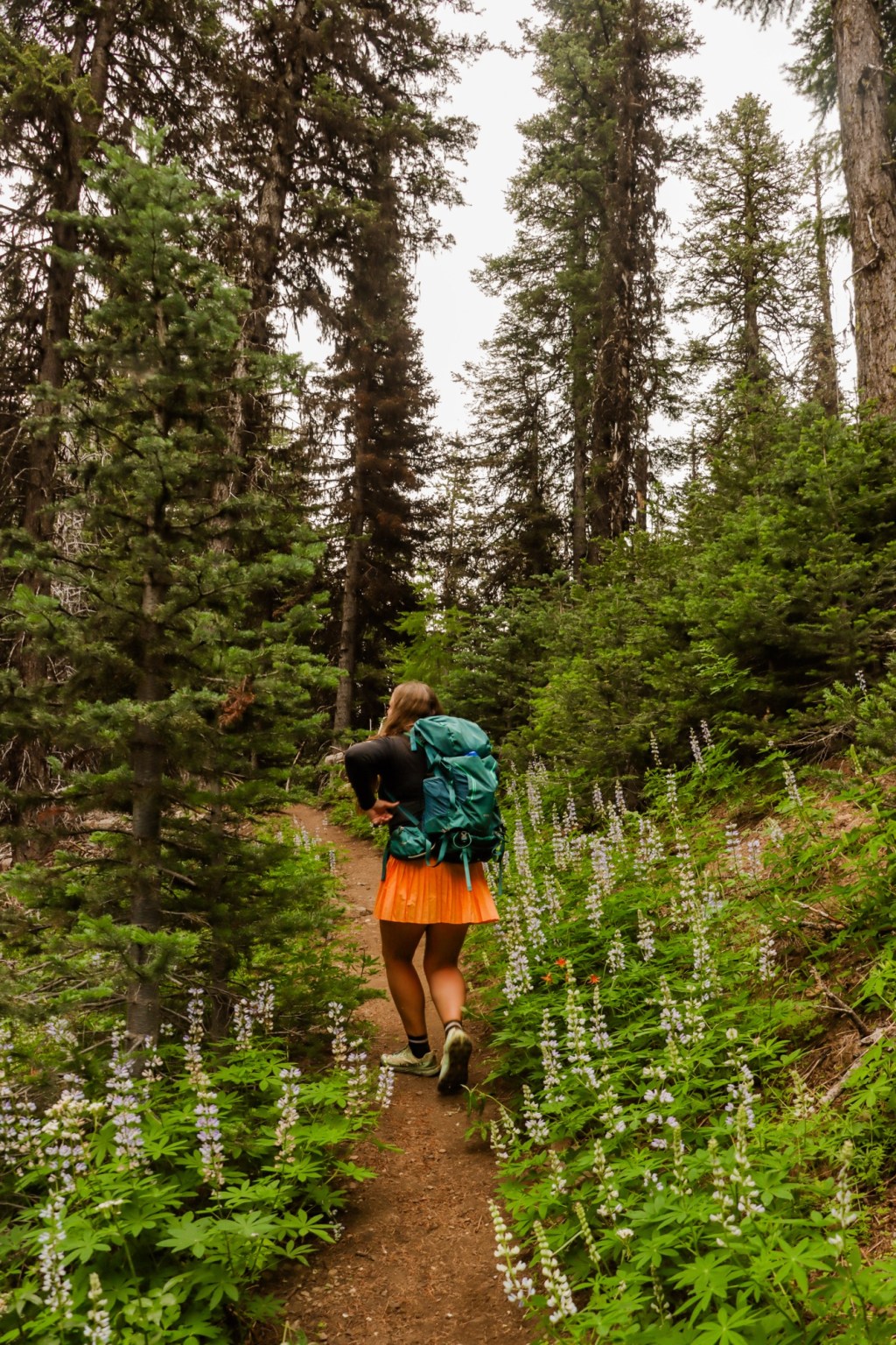 Guide to hiking Lookout Mountain, Ochoco National&nbsp;Forest