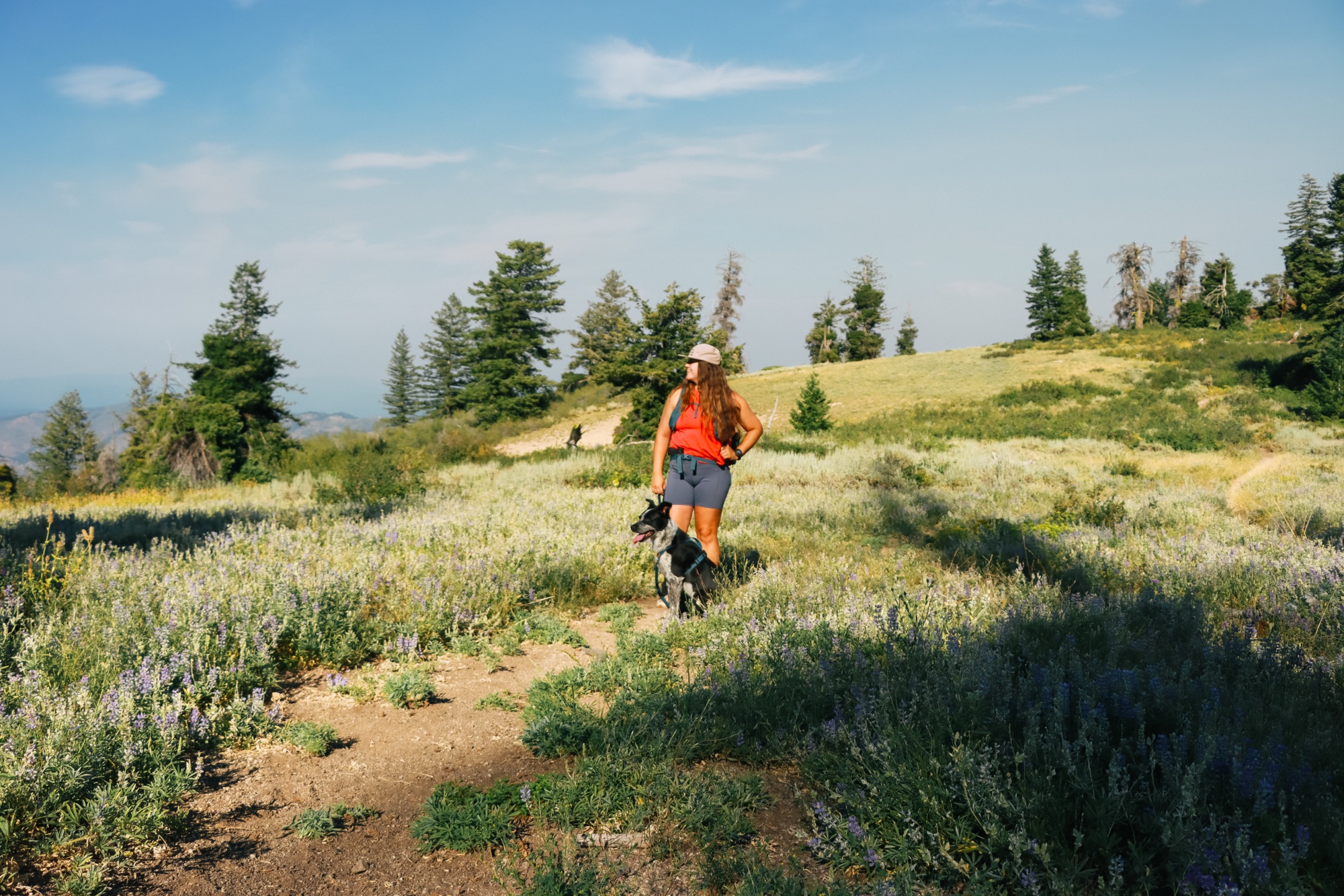 Tips for Handling Wildlife Encounters in the Backcountry!