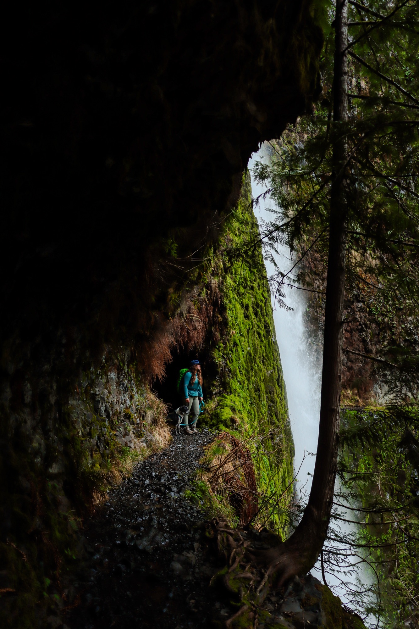 10 Absolutely Badass and Epic Hikes to Take on in Oregon