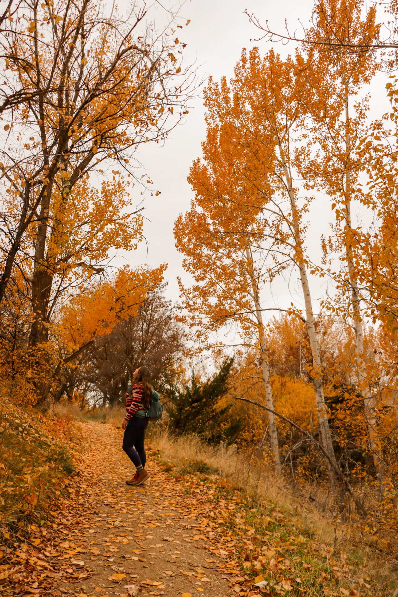 The 5 Best Easy Fall Hikes in Boise, Idaho