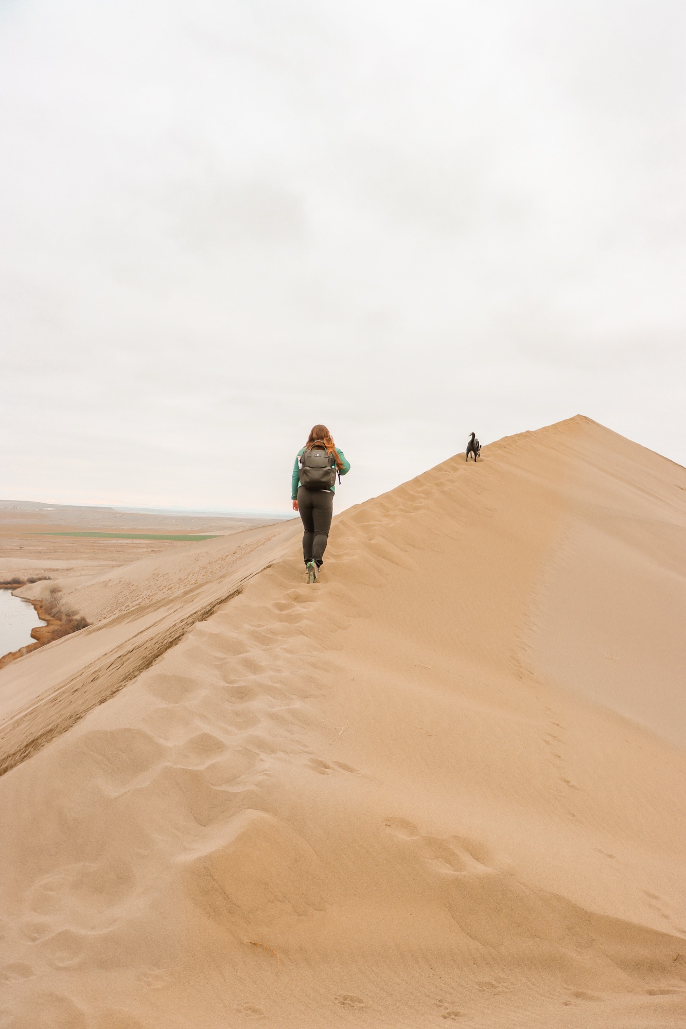 Mini Guide to Exploring Bruneau Dunes State Park; Idaho